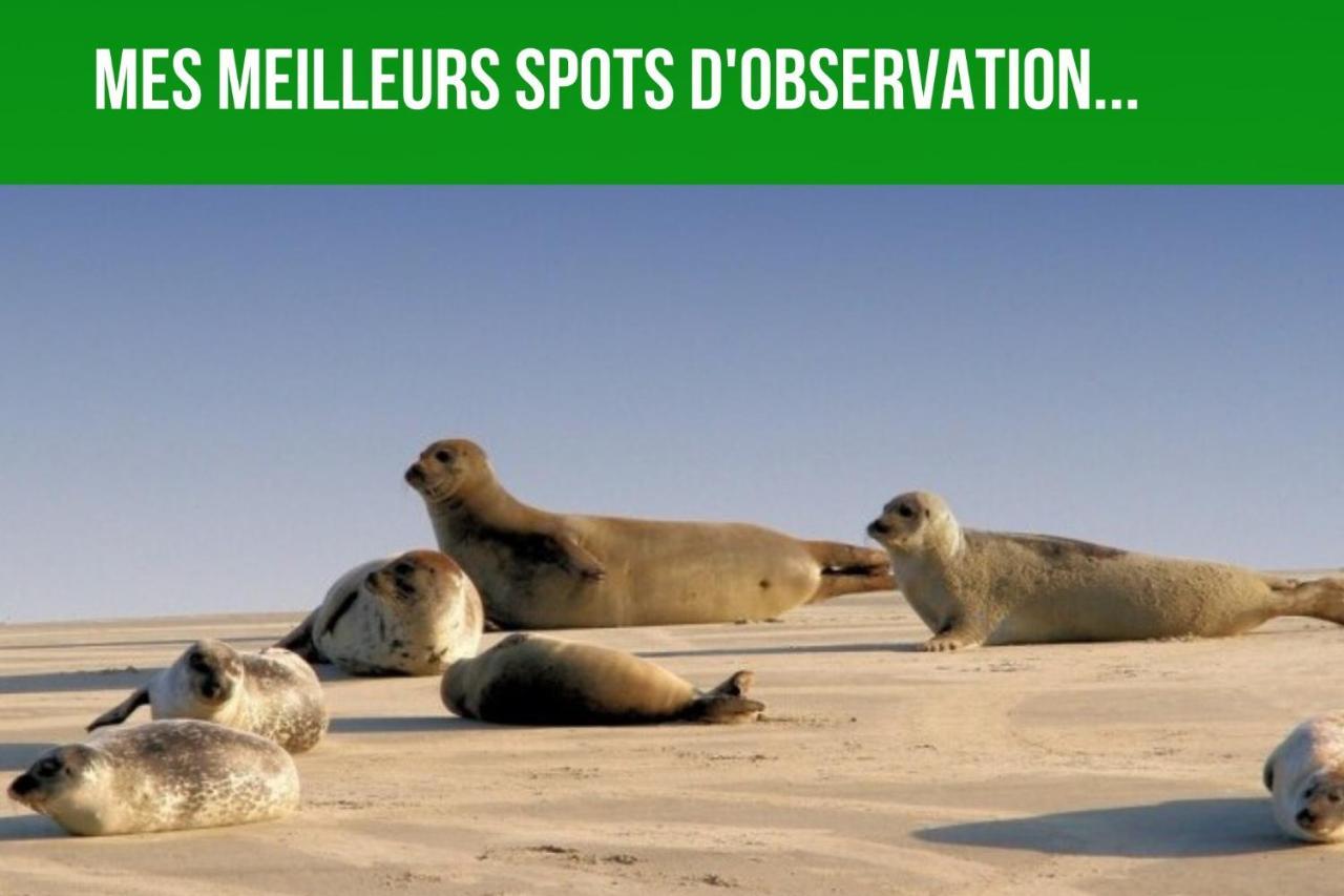 Les Couleurs Du Littoral Lejlighed Boulogne-sur-Mer Eksteriør billede